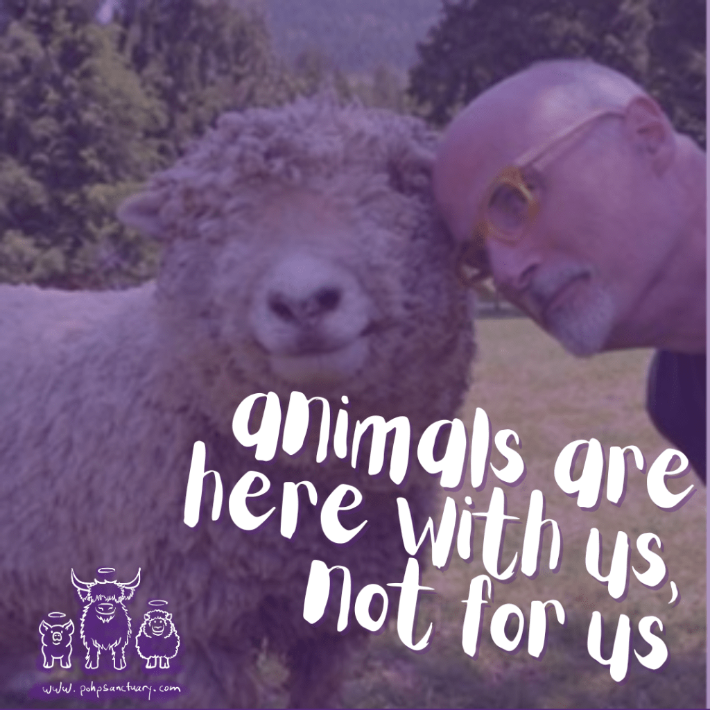 A photo of POHP founder Mark Starmer with a sheep. Their heads are resting against each other. Overlay text reads "animals are here with us, not for us."